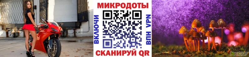 Галлюциногенные грибы Psilocybine cubensis  Купить где  Азов 